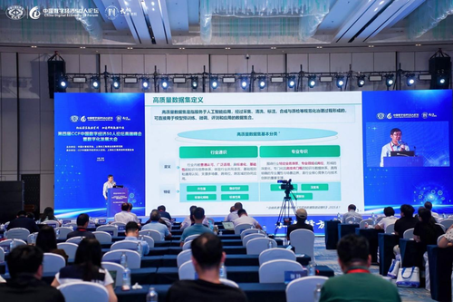 图片11